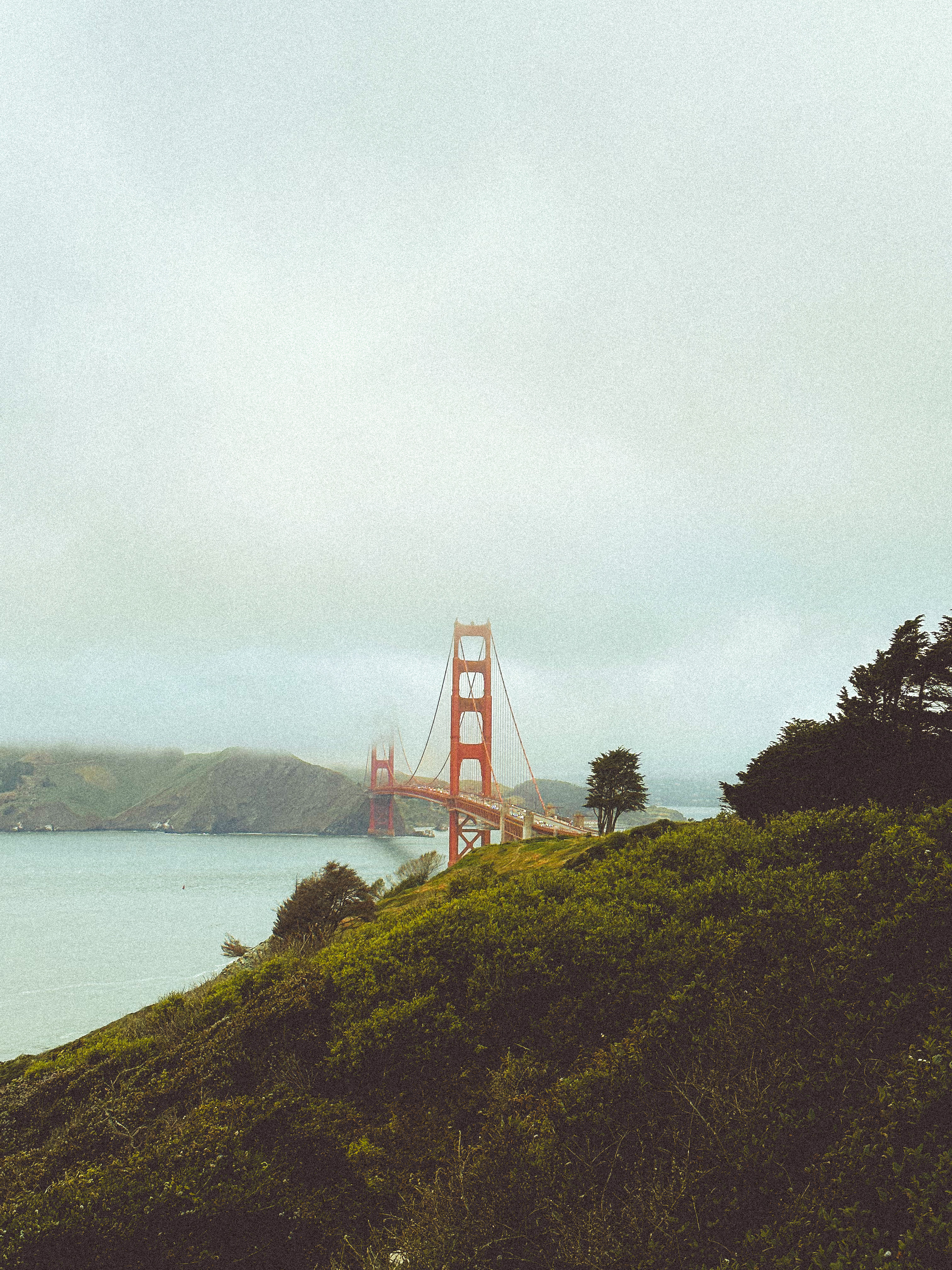 Screenshot of Golden Gate Bridge in fog, Photo